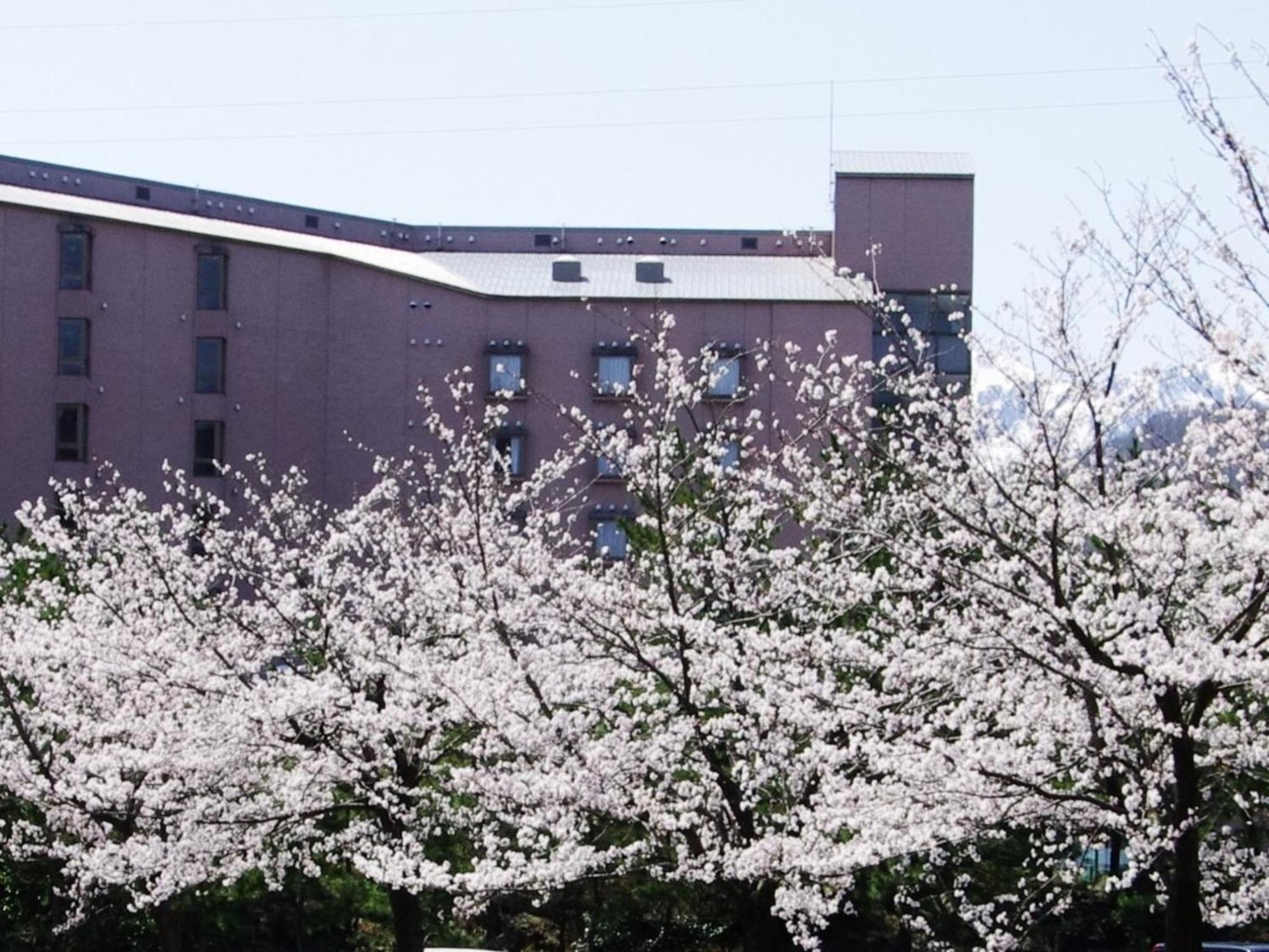 Hotel Kunitomi Annex - Vacation Stay 12072V Itoigawa Bagian luar foto